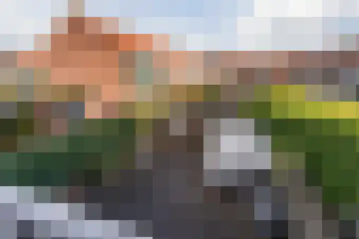 van der Fuyckstraat 60 Brielle thumbnail 30