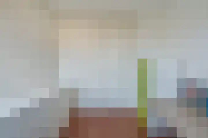 van der Fuyckstraat 60 Brielle thumbnail 31