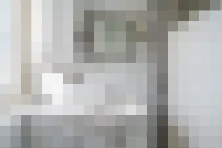 van der Fuyckstraat 60 Brielle thumbnail 32