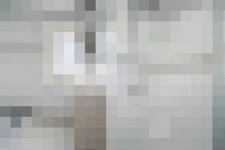 van der Fuyckstraat 60 Brielle thumbnail 33