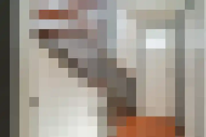 van der Fuyckstraat 60 Brielle thumbnail 34