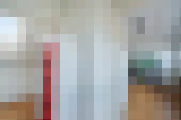 van der Fuyckstraat 60 Brielle thumbnail 37
