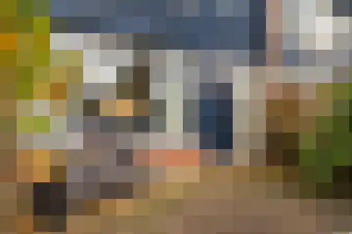 van der Fuyckstraat 60 Brielle thumbnail 8