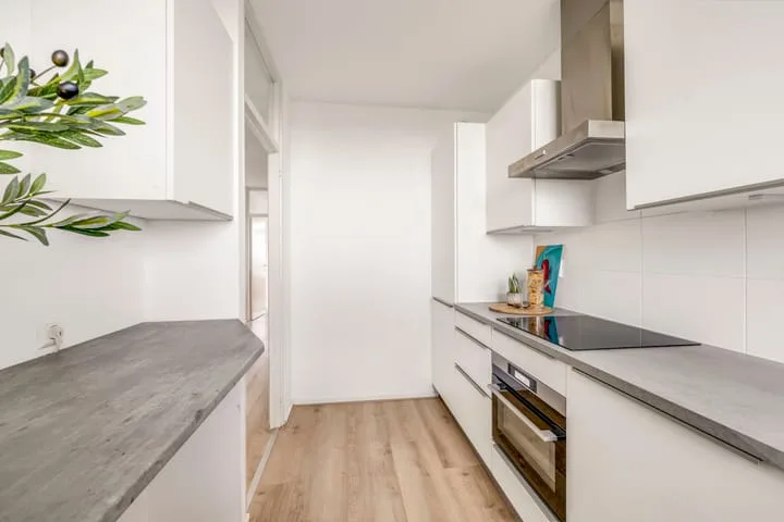 van der Fuyckstraat 77 Brielle thumbnail 10