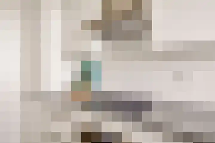 van der Fuyckstraat 77 Brielle thumbnail 11