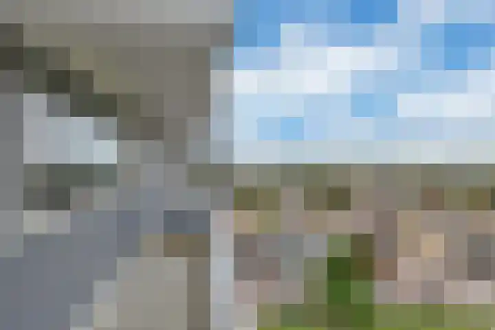 van der Fuyckstraat 77 Brielle thumbnail 5