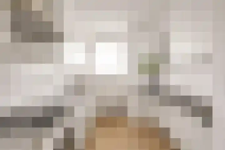 van der Fuyckstraat 77 Brielle thumbnail 9