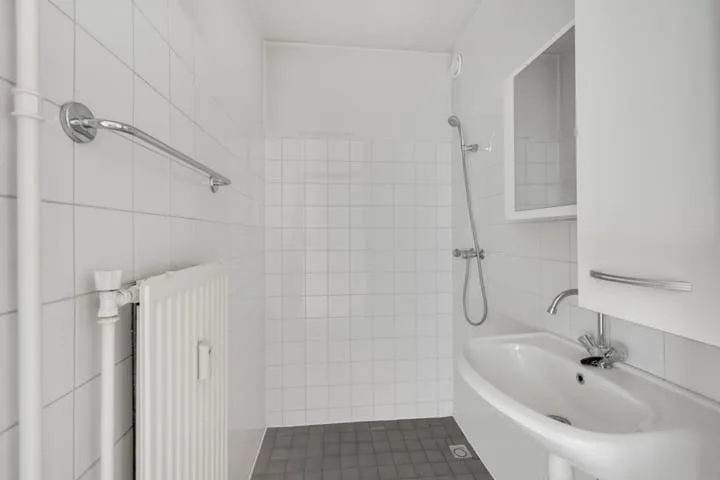 van der Fuyckstraat 89 Brielle thumbnail 11