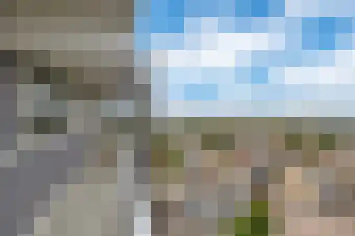 van der Fuyckstraat 89 Brielle thumbnail 5