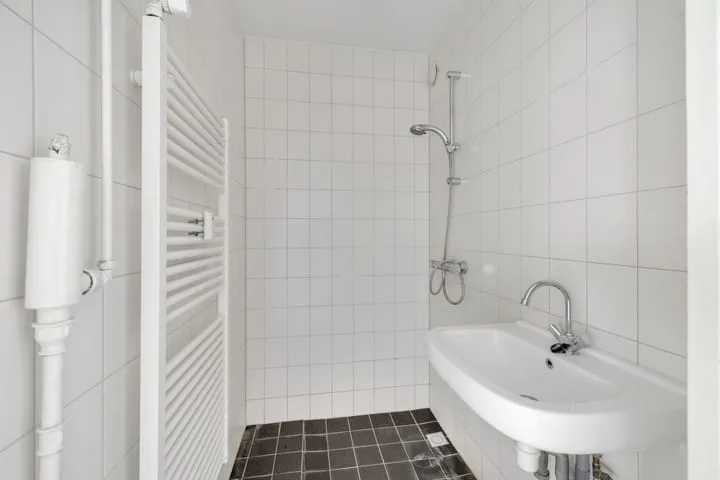 van der Fuyckstraat 99 Brielle thumbnail 11