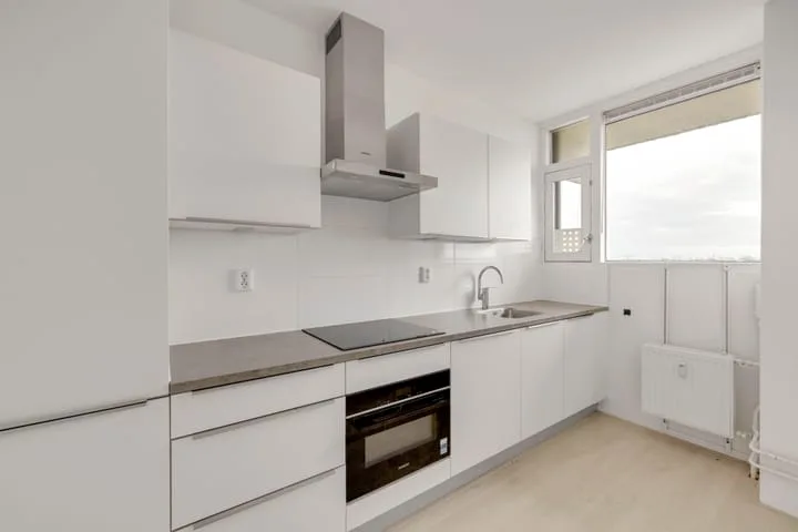 van der Fuyckstraat 99 Brielle thumbnail 8