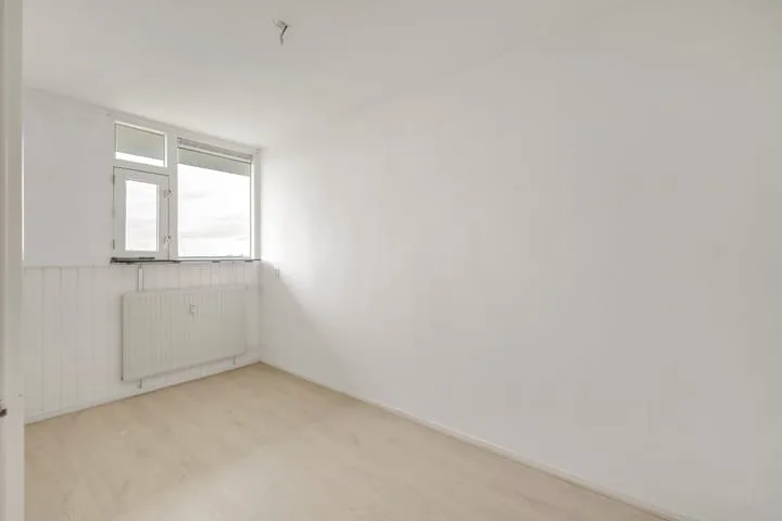 van der Fuyckstraat 99 Brielle thumbnail 9