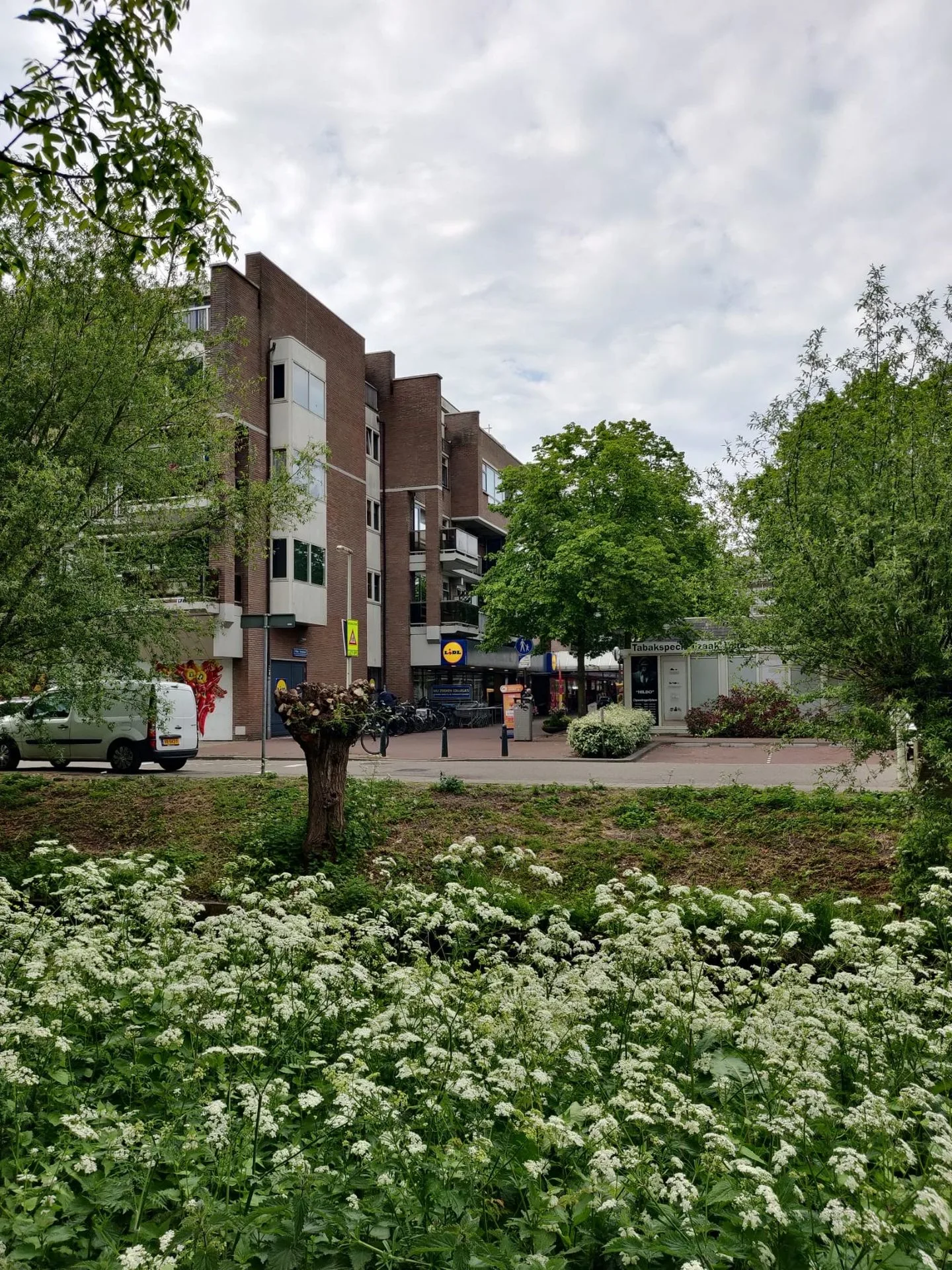 Van der Gaagstraat 32 Den Haag thumbnail 29