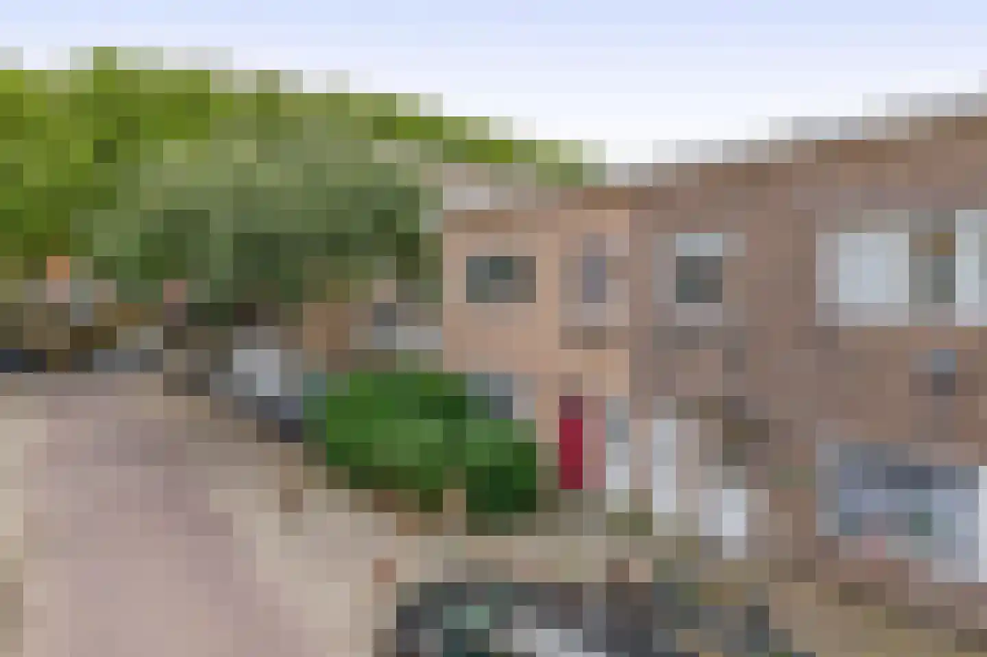 Van der Gaagstraat 52 Den Haag thumbnail 4