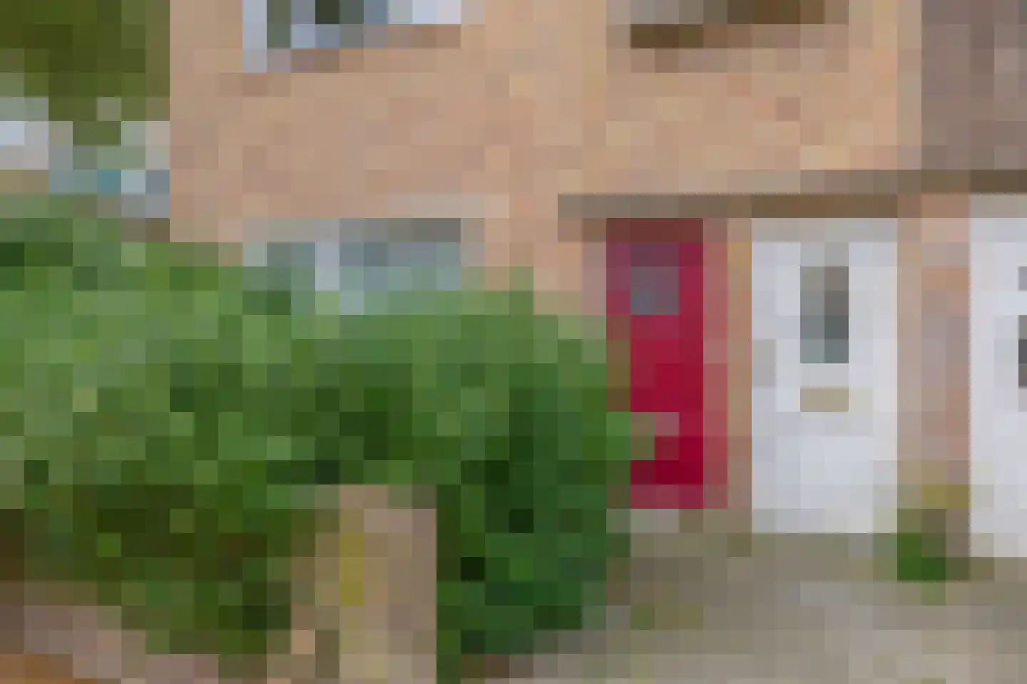 Van der Gaagstraat 52 Den Haag thumbnail 6