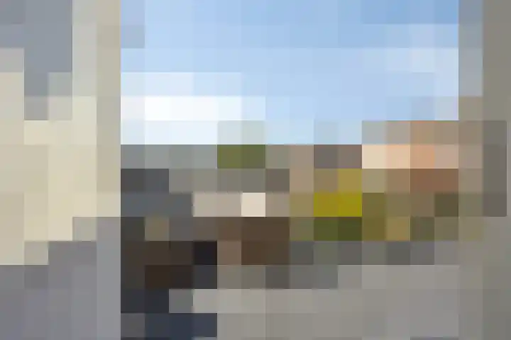 Van der Gaagstraat 69 Den Haag thumbnail 26