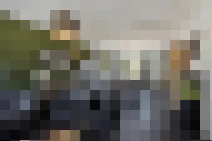 Van der Gaagstraat 69 Den Haag thumbnail 8