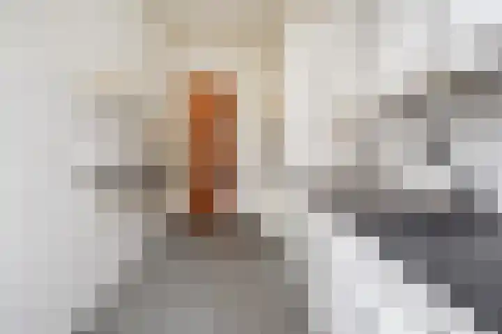 Van der Gaagstraat 7 Den Haag thumbnail 17