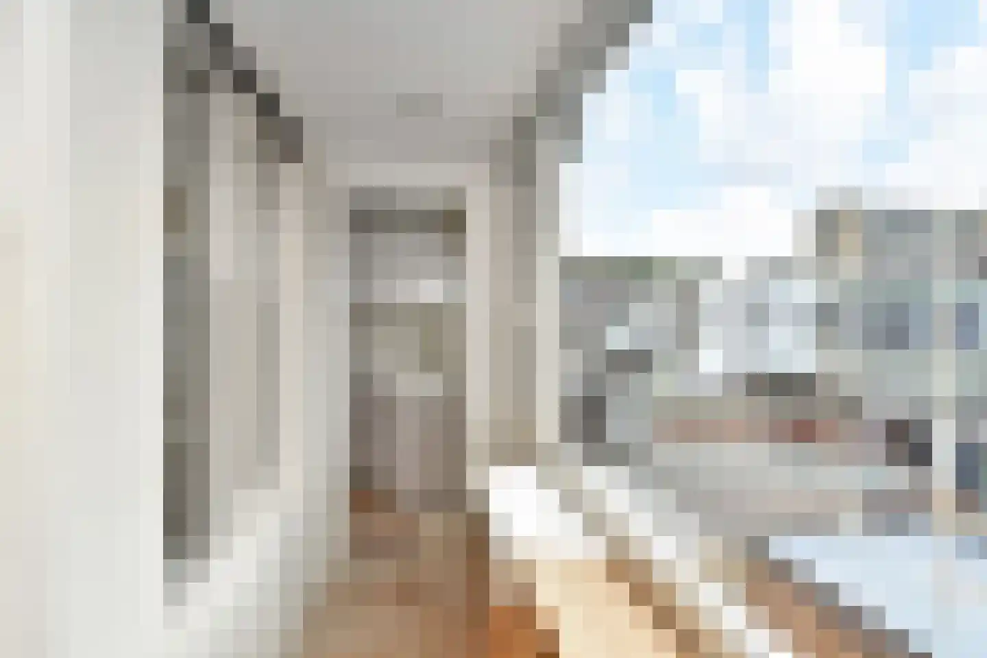 Van der Gaagstraat 8 Den Haag thumbnail 23