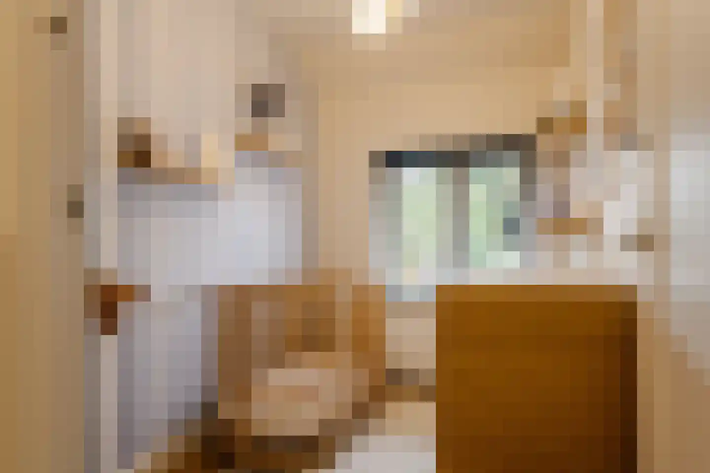 Van der Ghiessenstraat 31 Amstelveen thumbnail 24