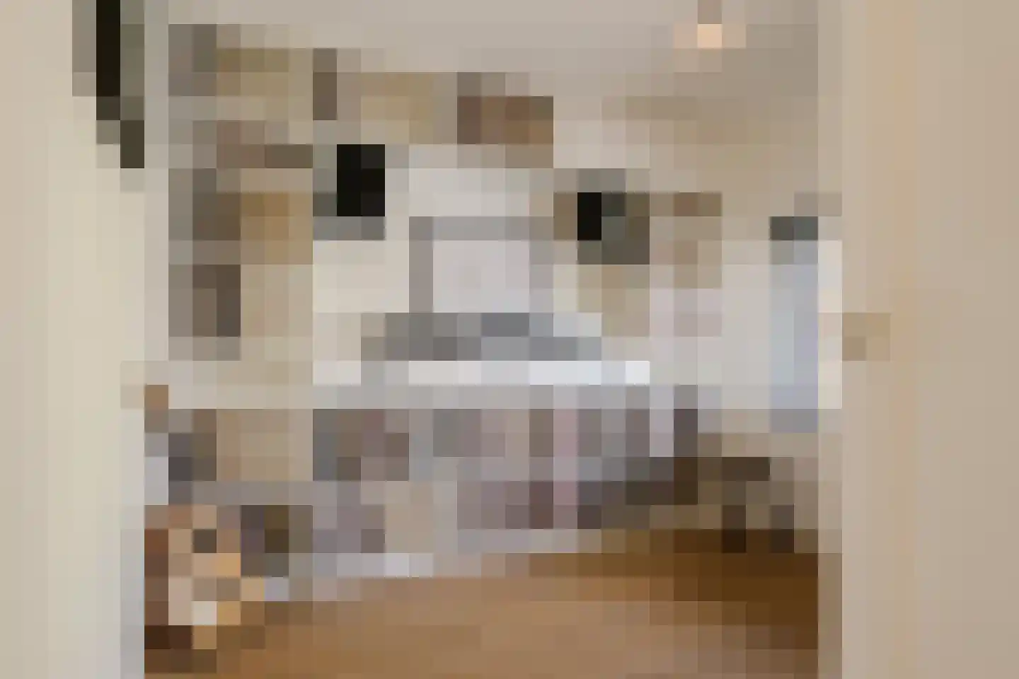 Van der Ghiessenstraat 31 Amstelveen thumbnail 30
