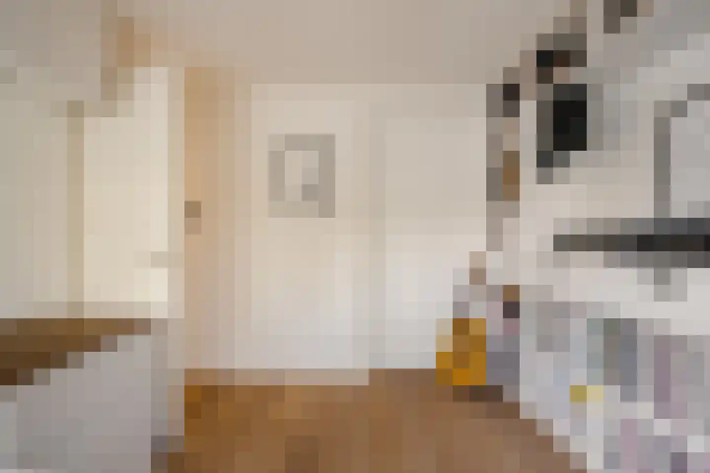 Van der Ghiessenstraat 31 Amstelveen thumbnail 32