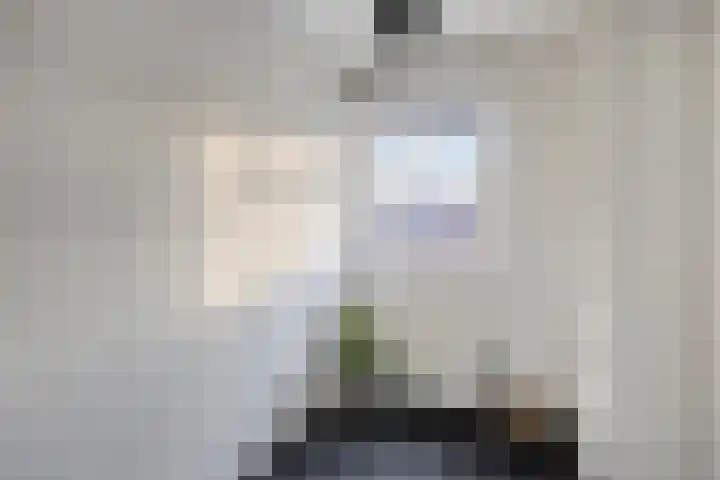 Van der Glashof 11 Amersfoort thumbnail 16