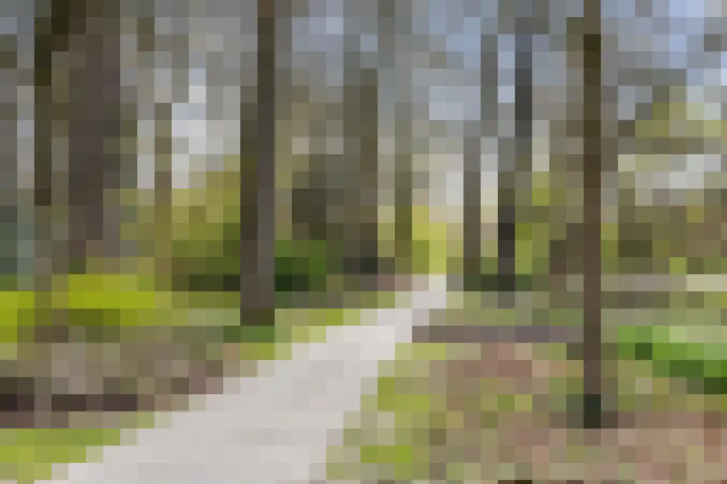 Van der Glashof 29 Amersfoort thumbnail 21