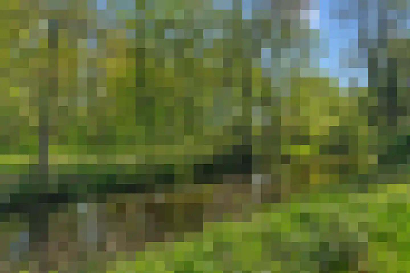 Van der Glashof 8 Amersfoort thumbnail 36