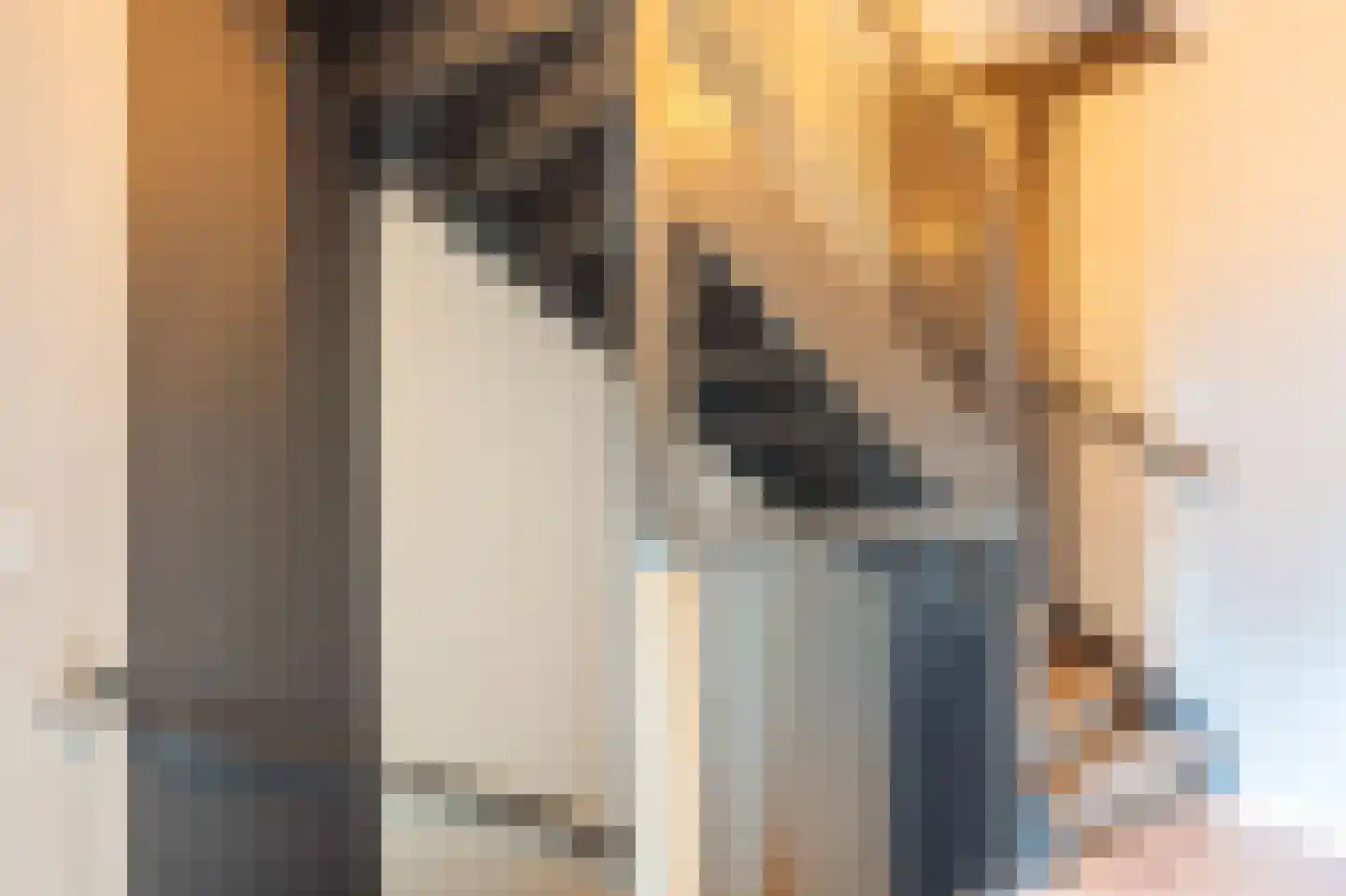 Van der Goes van Naterspad 19 Zwolle thumbnail 32