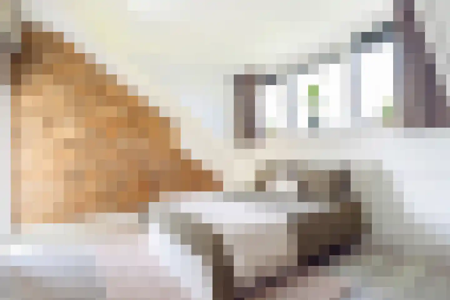 Van der Goes van Naterspad 19 Zwolle thumbnail 33