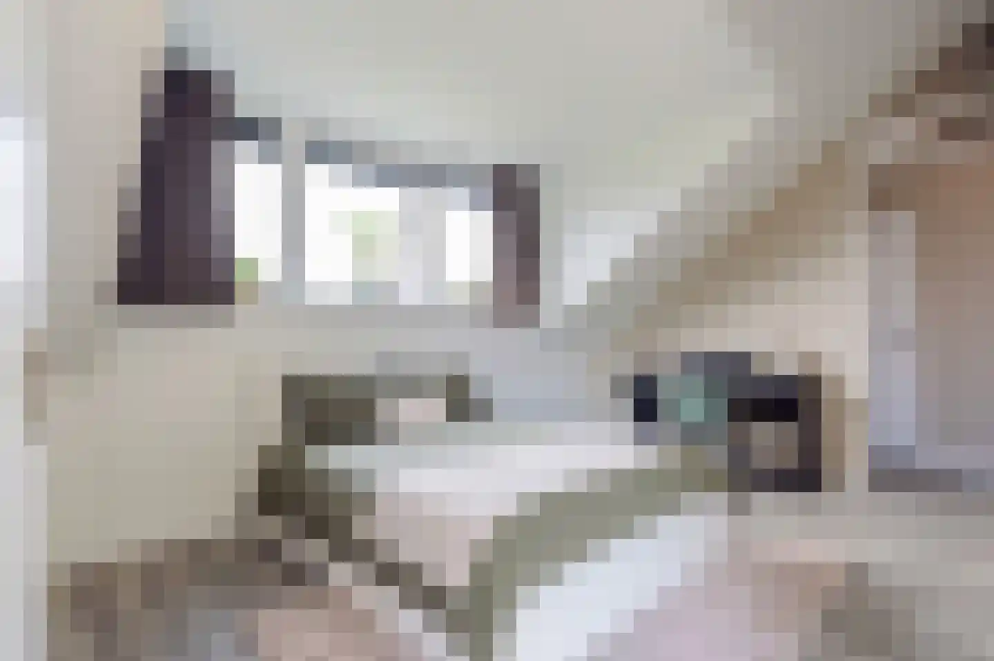 Van der Goes van Naterspad 19 Zwolle thumbnail 34