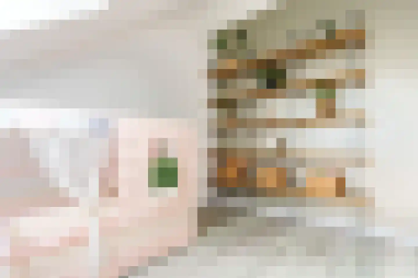 Van der Goes van Naterspad 19 Zwolle thumbnail 36
