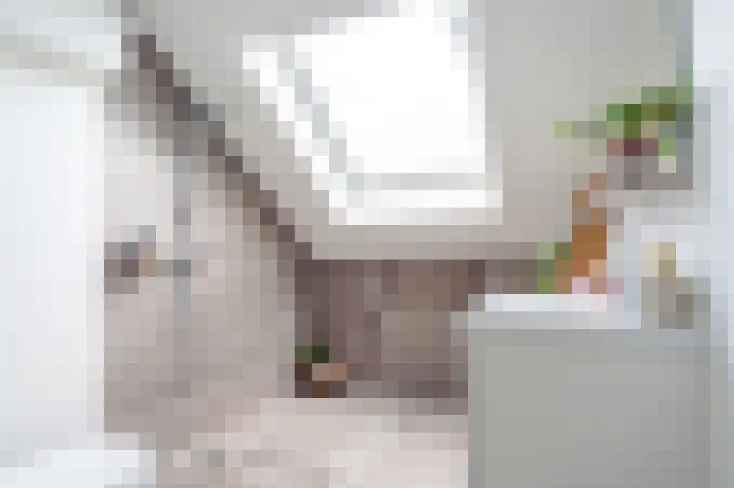 Van der Goes van Naterspad 19 Zwolle thumbnail 39