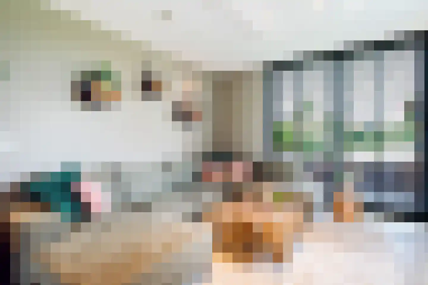 Van der Goes van Naterspad 19 Zwolle thumbnail 4