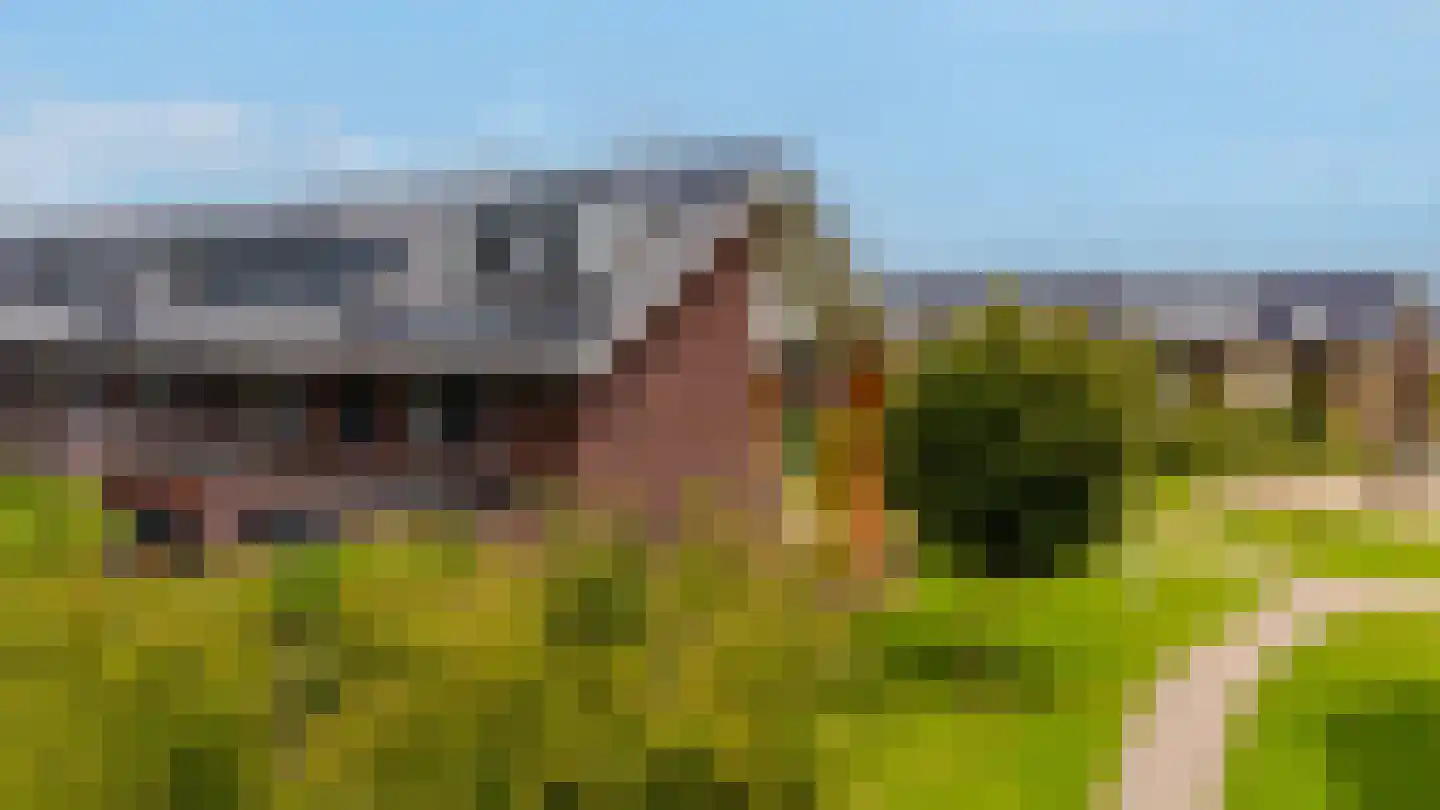 Van der Goes van Naterspad 19 Zwolle thumbnail 56