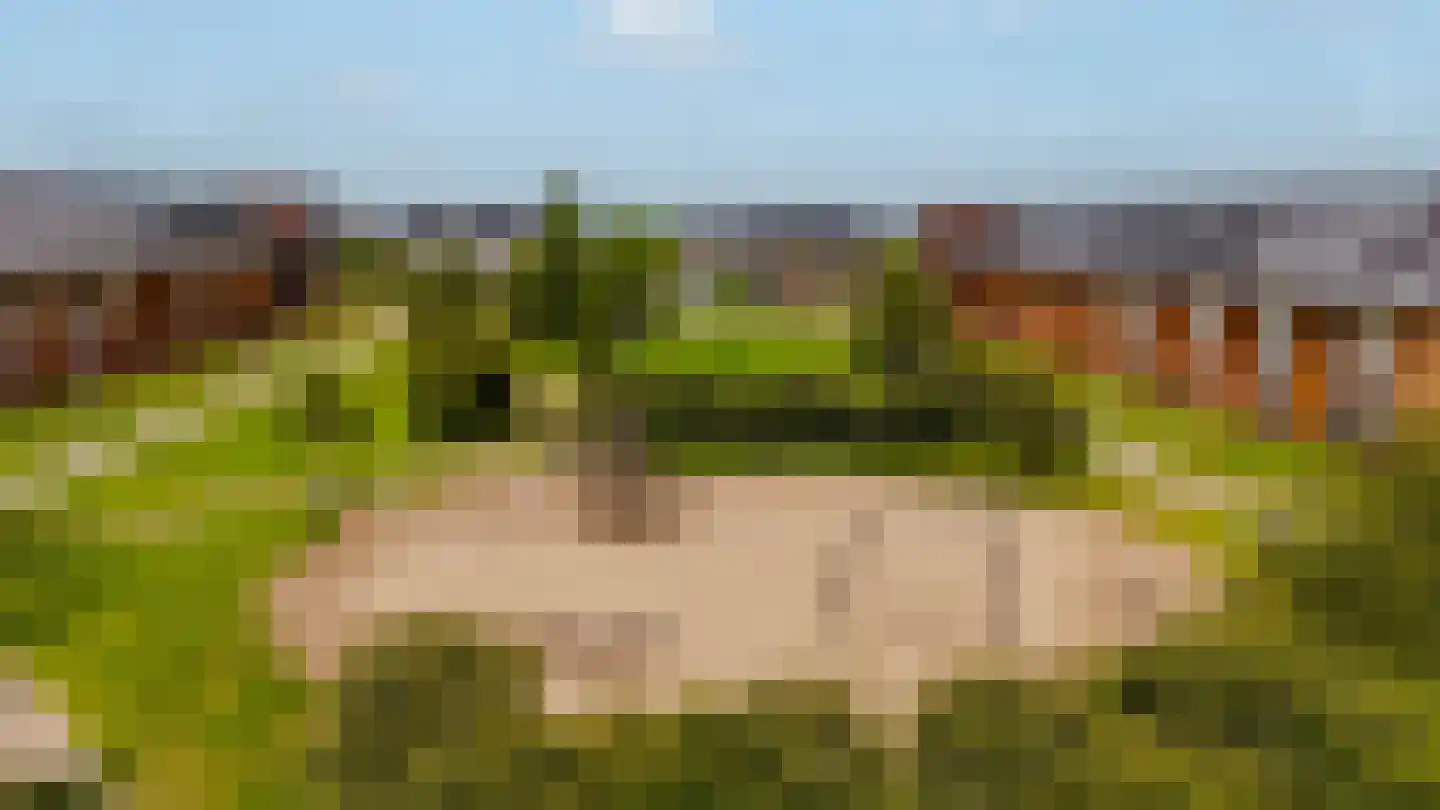 Van der Goes van Naterspad 19 Zwolle thumbnail 62