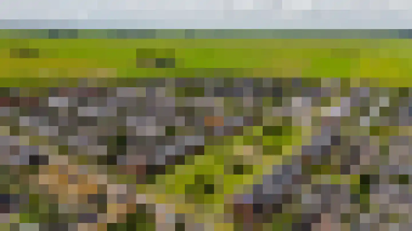 Van der Goes van Naterspad 19 Zwolle thumbnail 63