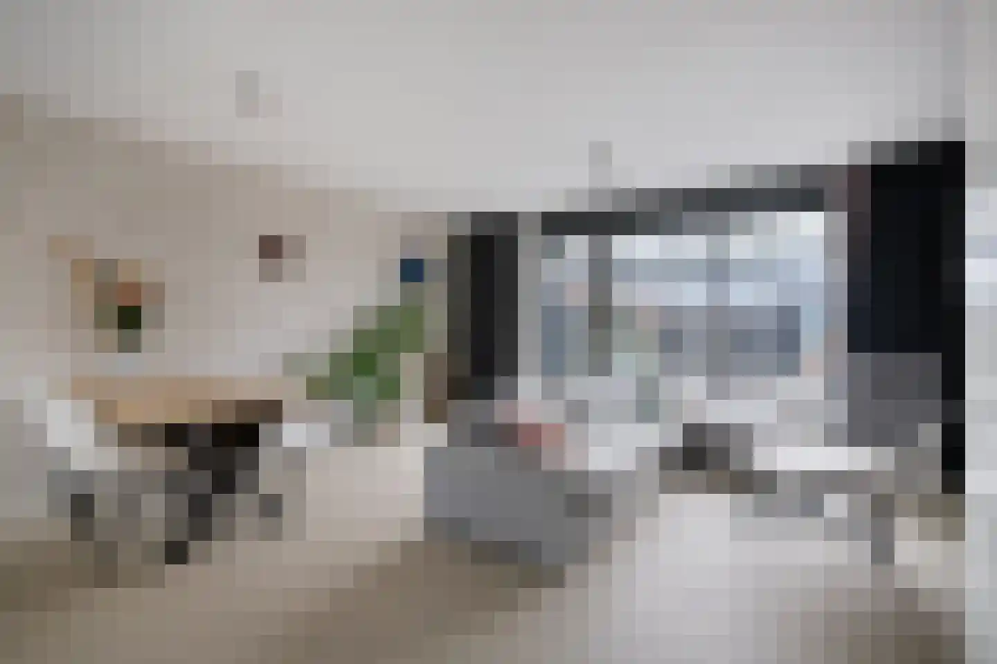 Van der Goes van Naterspad 29 Zwolle thumbnail 10