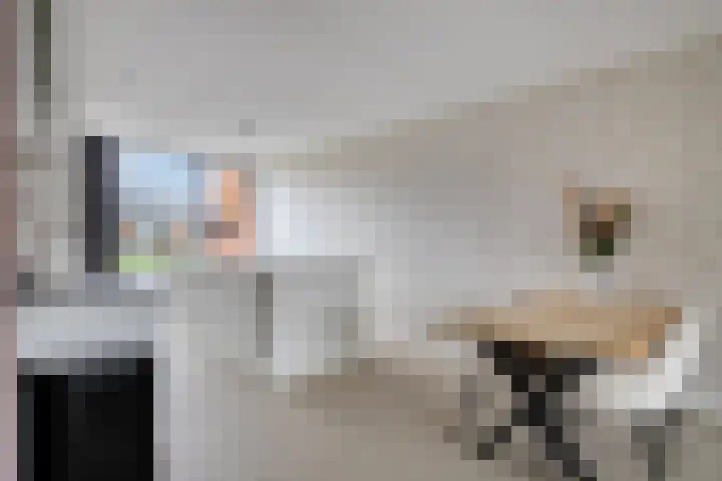 Van der Goes van Naterspad 29 Zwolle thumbnail 14