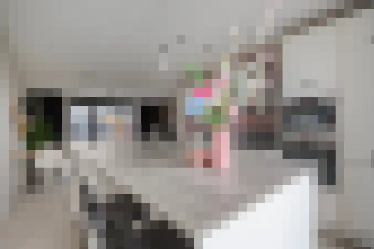 Van der Goes van Naterspad 29 Zwolle thumbnail 17