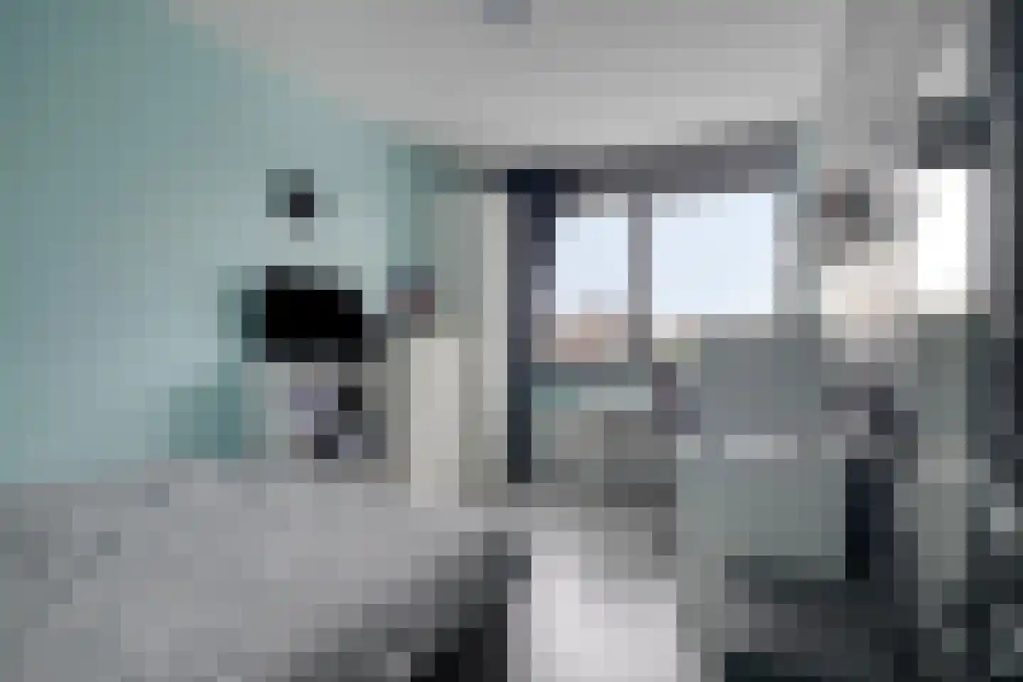 Van der Goes van Naterspad 29 Zwolle thumbnail 23