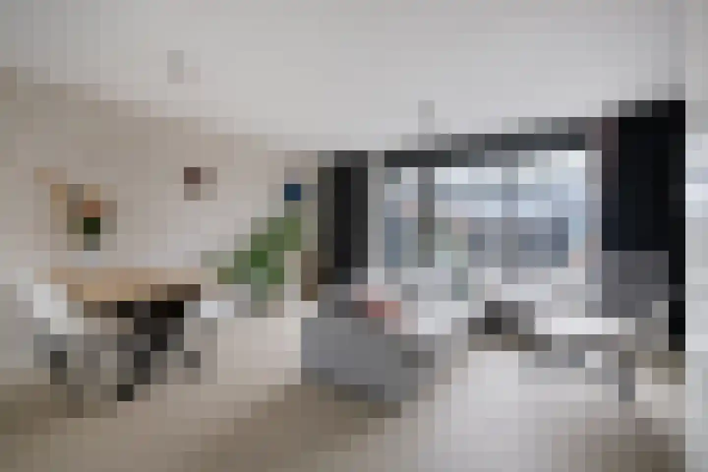 Van der Goes van Naterspad 29 Zwolle thumbnail 4