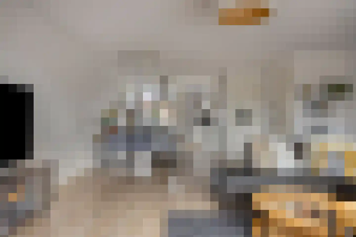 Van der Goes van Naterspad 3 Zwolle thumbnail 10