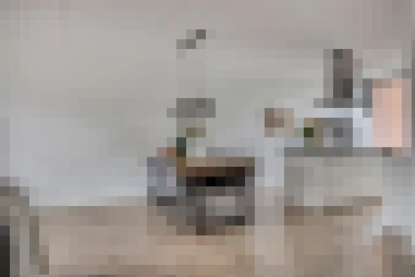 Van der Goes van Naterspad 3 Zwolle thumbnail 12