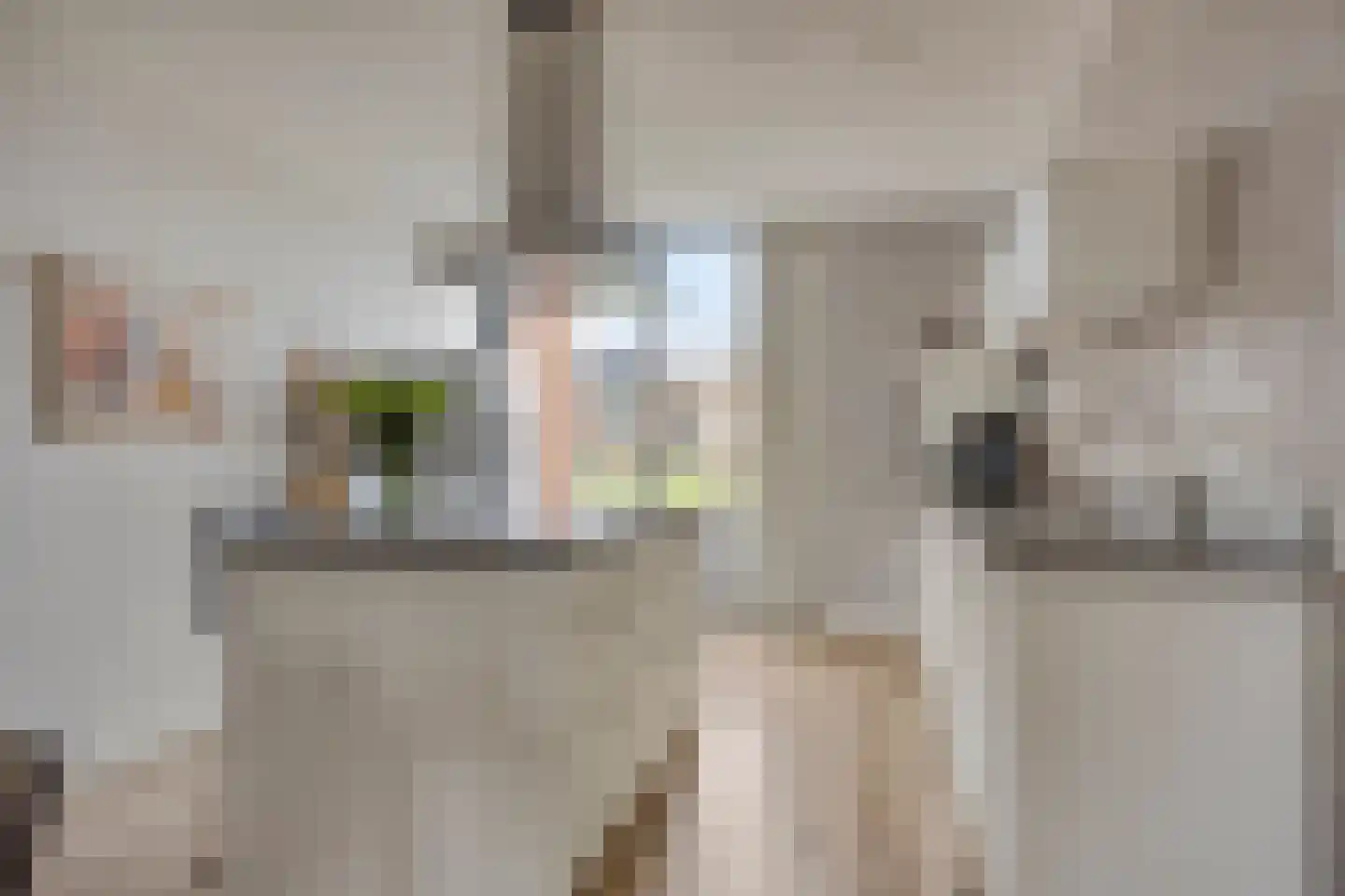 Van der Goes van Naterspad 3 Zwolle thumbnail 14