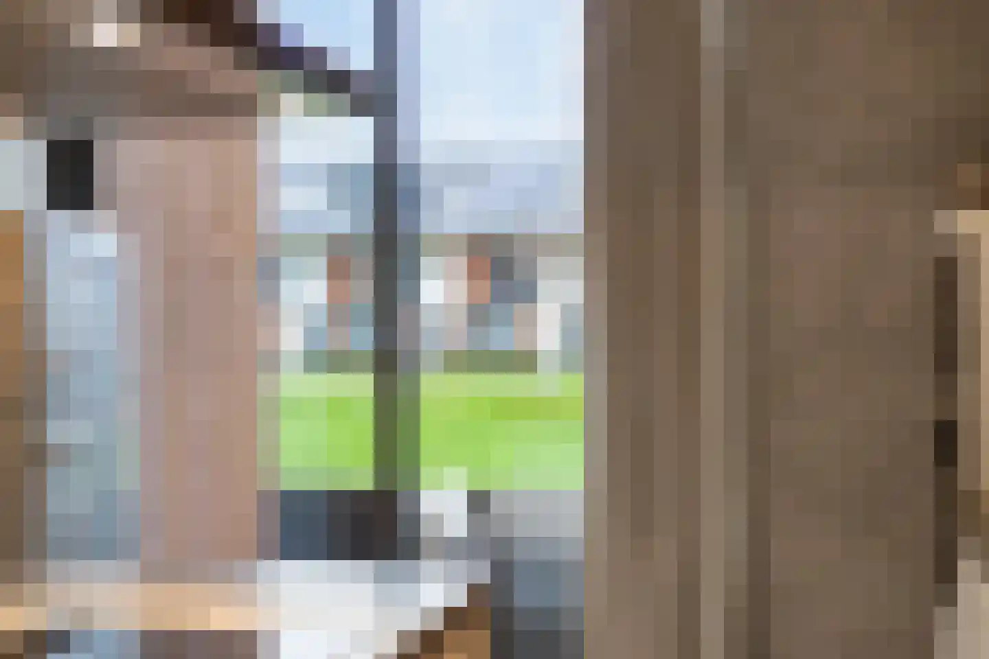 Van der Goes van Naterspad 3 Zwolle thumbnail 18