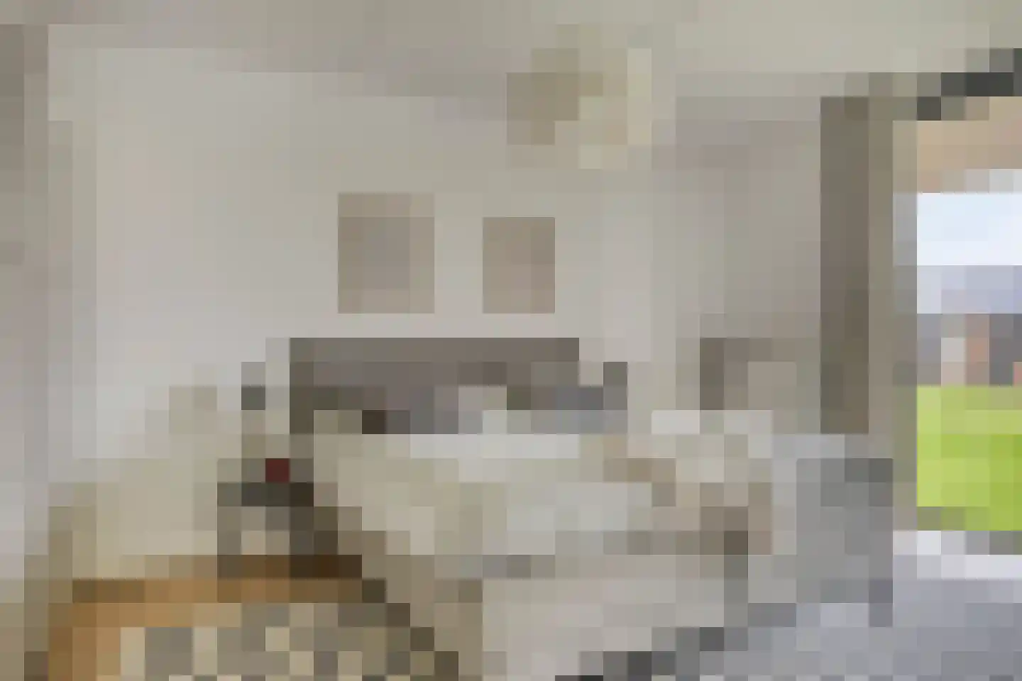 Van der Goes van Naterspad 3 Zwolle thumbnail 22