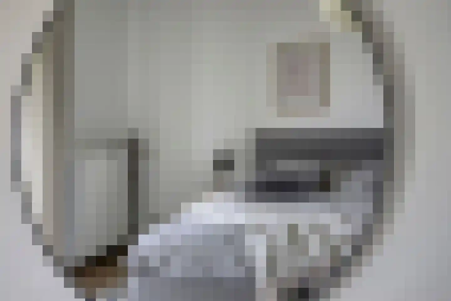 Van der Goes van Naterspad 3 Zwolle thumbnail 26