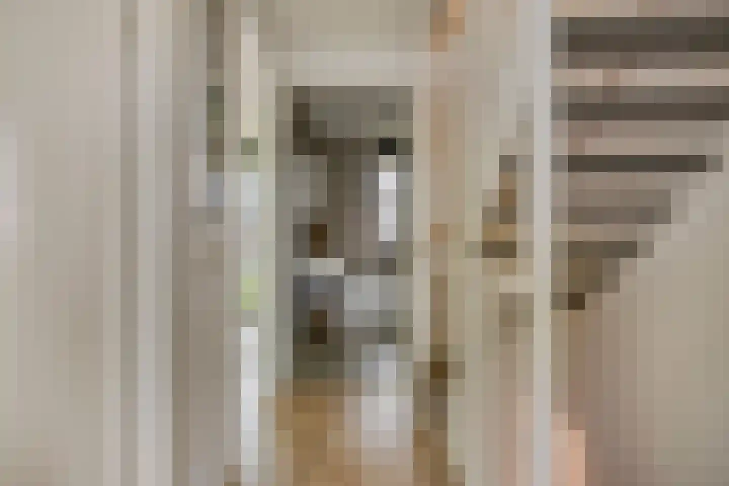 Van der Goes van Naterspad 3 Zwolle thumbnail 33